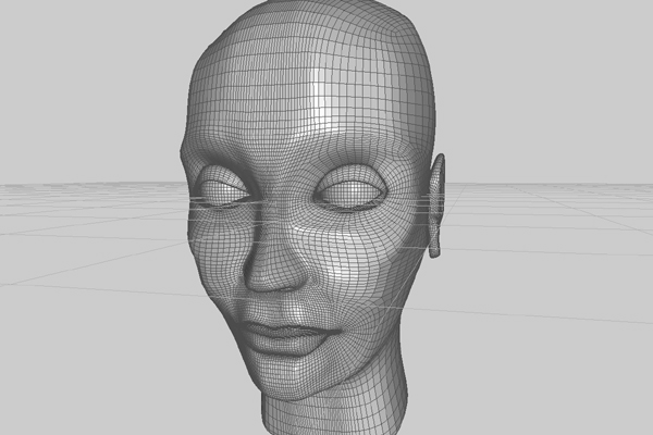 Human Head