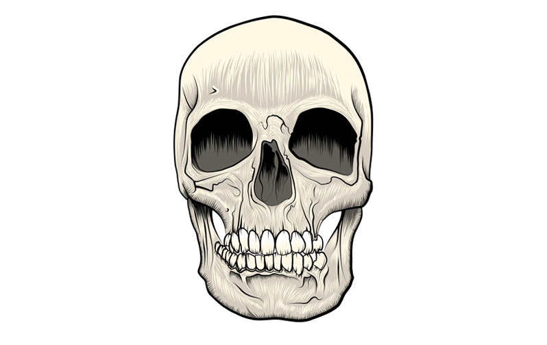 Skull